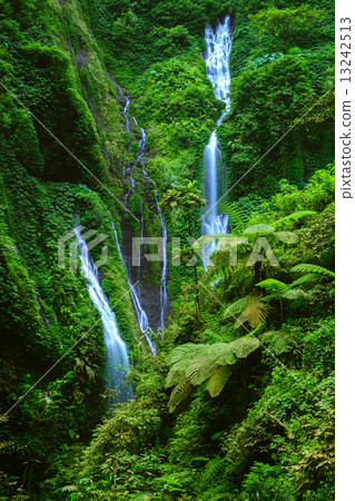 Madakaripura  Waterfall, East Java, Indonesia 13242513