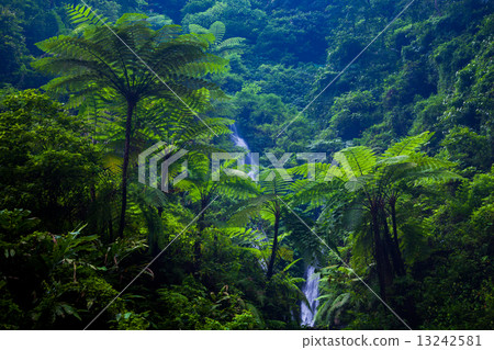 Madakaripura  Waterfall, East Java, Indonesia 13242581