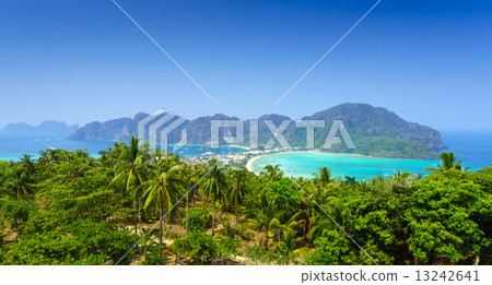 Phi phi island, Krabi, Southern of Thailand 13242641