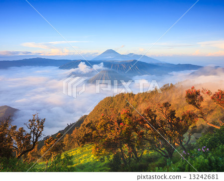 Bromo volcano at sunrise, East Java, Indonesia 13242681