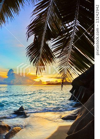 Tropical beach at sunset 13242942