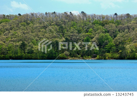 Spring of the early spring (Katakuma) Spring of the early spring (Katakuma) 13243745