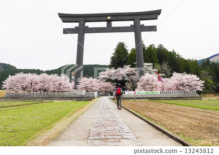 熊野主神社Otorii 13243812