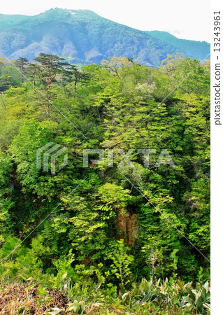 Naruko峽谷的新綠 Naruko峽谷的新綠 13243961