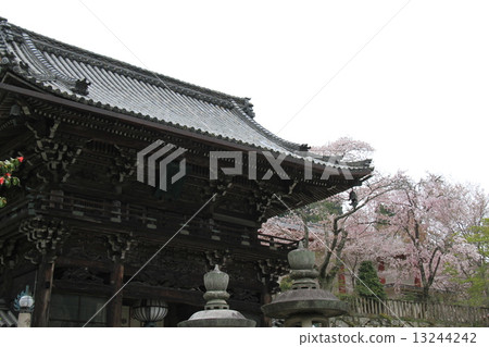 Hase Temple 13244242