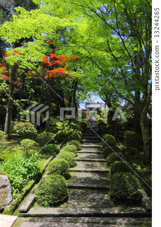 Reishiji temple of fresh green 13244265