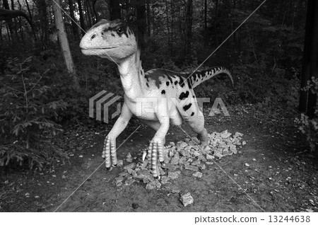 Model of dinosaur in Jurassic park, Poland. Model of dinosaur in Jurassic park, Poland. 13244638