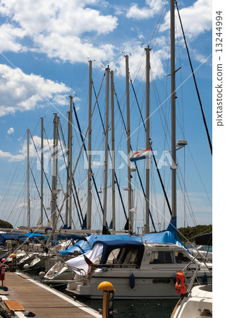 Marina masts in Vrsar 13244994