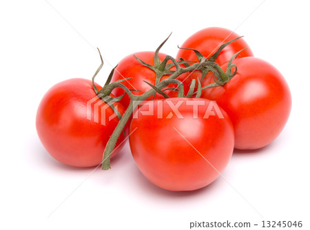 branch of tomatoes branch of tomatoes 13245046