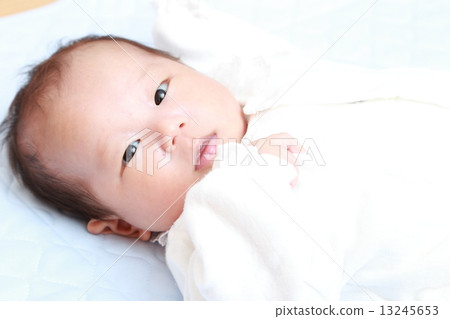 嬰兒 13245653