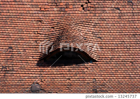 Roof tiles of the Radziwill Castle Roof tiles of the Radziwill Castle 13245737