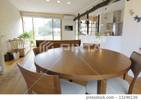 植物生活 13246136