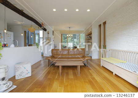 植物生活 13246137