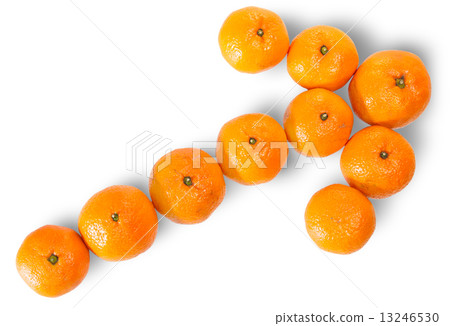 Ripe Juicy Orange Tangerine Lined As A Arrow 13246530
