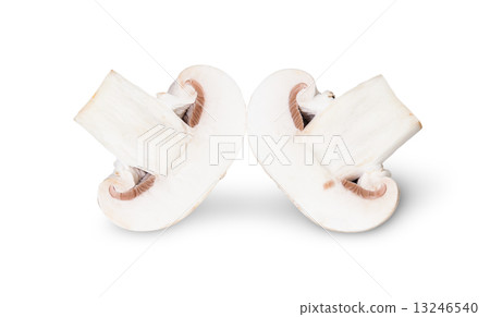 The Two Halves Of Mushroom 13246540
