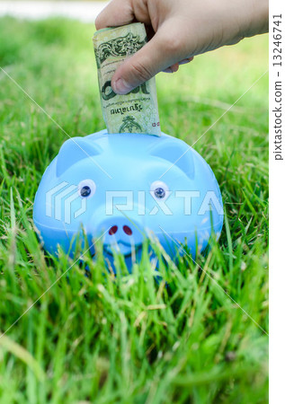 Blue piggy bank sitting on grass with hand putting Thai money. 13246741