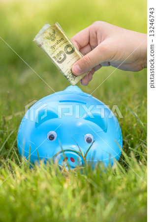 Blue piggy bank sitting on grass with hand putting Thai money. 13246743