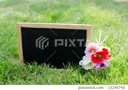 Blank blackboard on green grass. Blank blackboard on green grass. 13246748