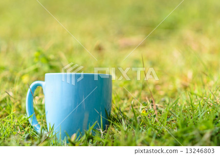 Green space with blue coffee mug outdoor. Green space with blue coffee mug outdoor. 13246803