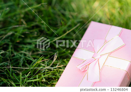 Pink gift box on green grass outdoor. Pink gift box on green grass outdoor. 13246804