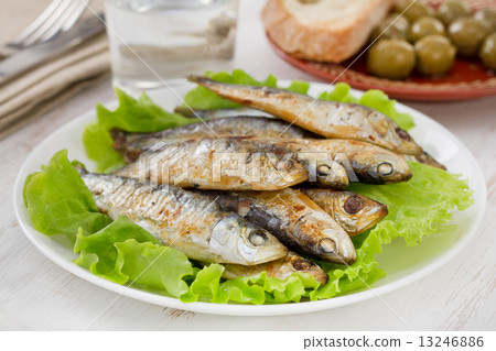 fried sardines on the plate fried sardines on the plate 13246886