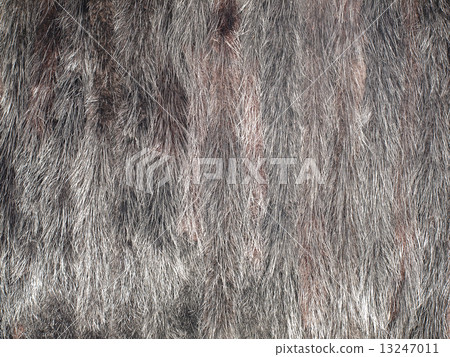 Mink fur.Background. 13247011