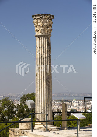 ruins of ancient Carthage Tunis Afrique 13248481