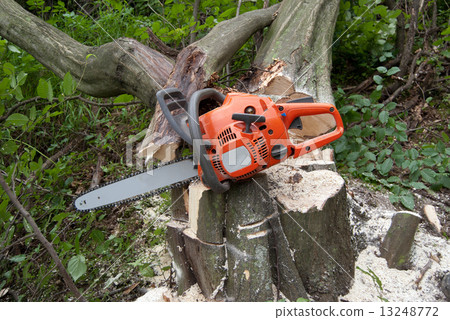 chainsaw stump chainsaw stump 13248772