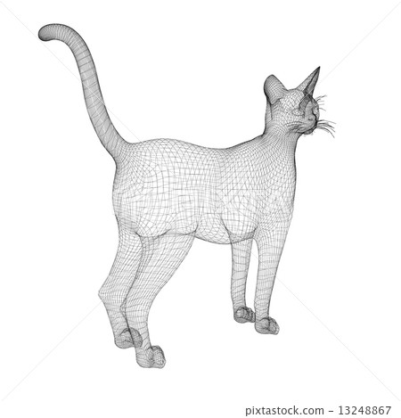 cat model 13248867