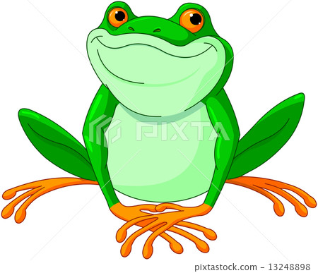 Frog 13248898