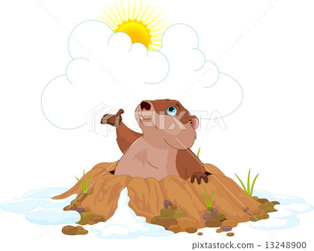 Groundhog 13248900