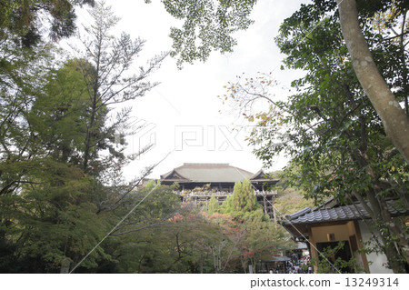 京都觀光 京都觀光 13249314