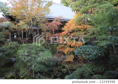 京都觀光 京都觀光 13249399