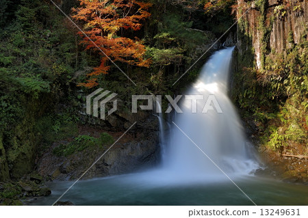 Kawazu Otaki Kawazu Otaki 13249631