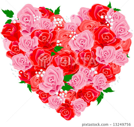 Rose heart 13249756