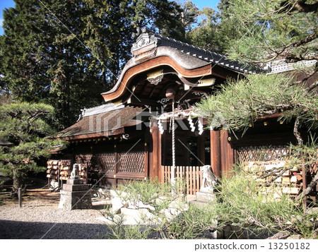 Umenomiya Taisha Main Hall 13250182
