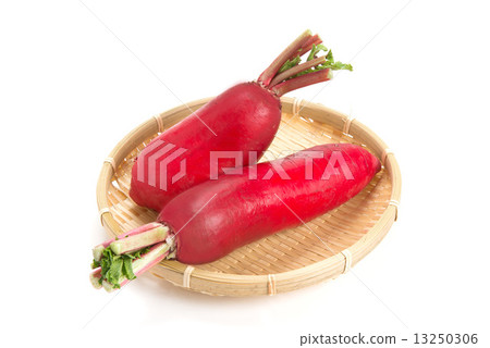 Red radish 13250306