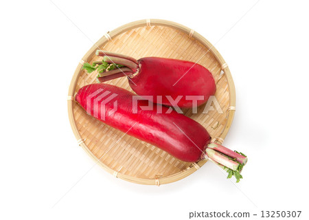 Red radish Red radish 13250307