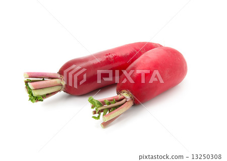 Red radish 13250308