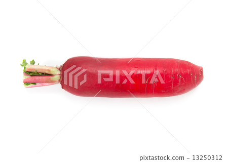 紅蘿蔔 13250312