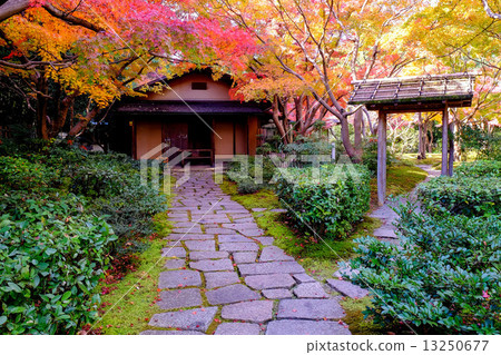 Cobbled to the tea room 13250677