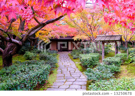 Cobbled to the tea room Cobbled to the tea room 13250678