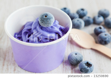 Frozen creamy ice yoghurt  with whole blueberries 13250690