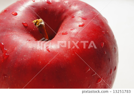 Fresh apple 13251783