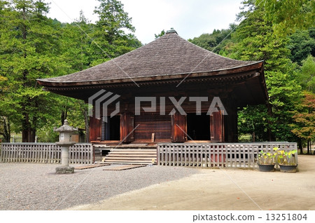 白水Amidado 白水Amidado 13251804