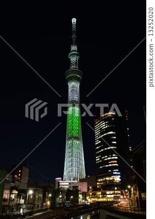 東京天空樹（香檳樹） 13252020