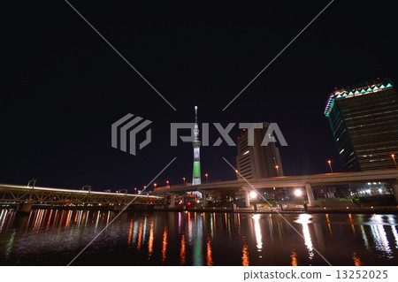 東京天空樹（香檳樹） 13252025