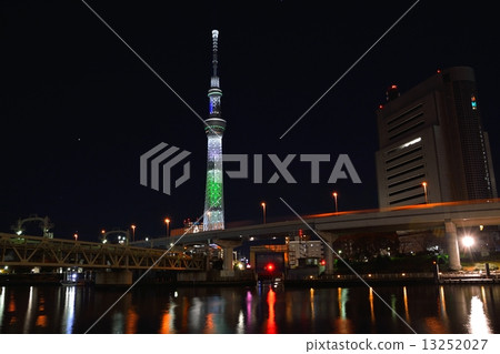 東京天空樹（香檳樹） 13252027