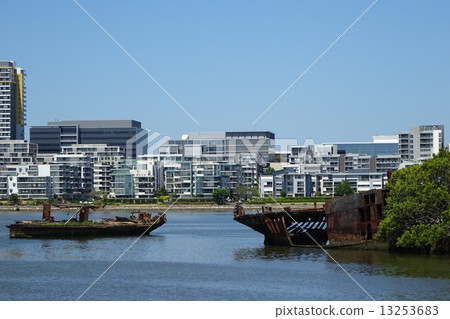 船運載森林 13253683