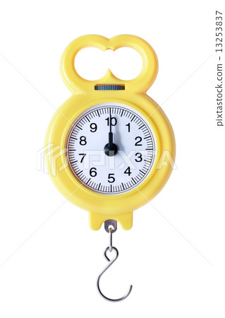 New Portable Weigher 13253837